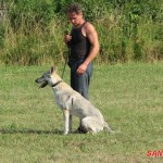 LVT Šírava 2012 PZV 1, PZV 2PZV 2
